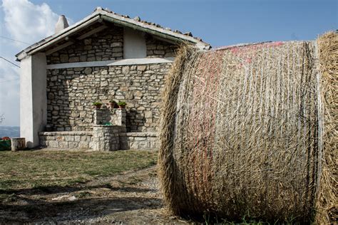 Fattoria Didattica Masseria Pietrascritta 